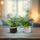 Modern Abstract Decorative Piece - 2 Pcs - Artificial Planter Set
